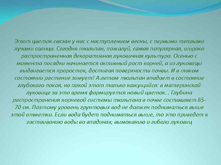 Этот цветок связан у нас с наступлением весны, с первыми теплыми лучами солнца. Сегодня