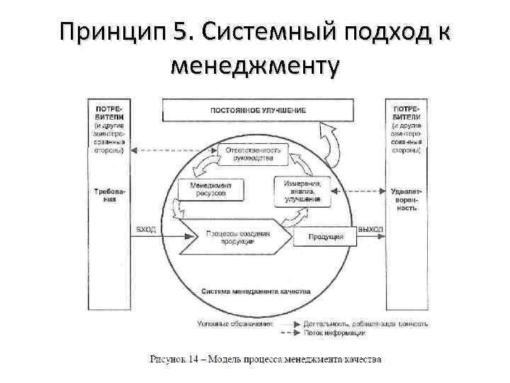 Принцип 5. Системный подход к менеджменту 