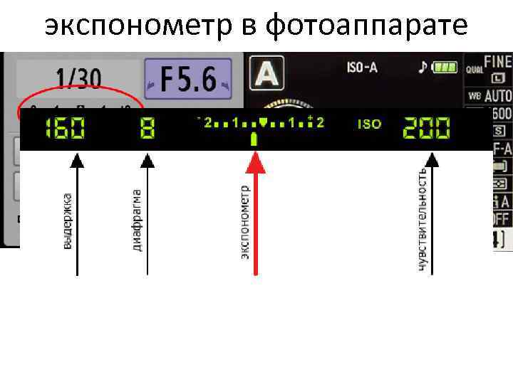 экспонометр в фотоаппарате 