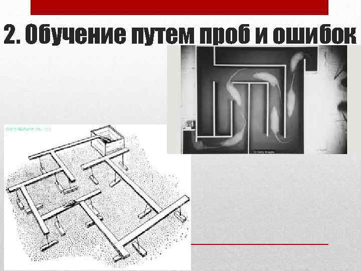 2. Обучение путем проб и ошибок 