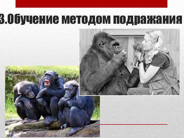 3. Обучение методом подражания 