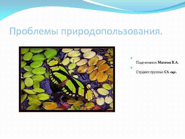 Проблемы природопользования. Подготовил: Мазепа В. А. Cтудент группы: СА-091. 