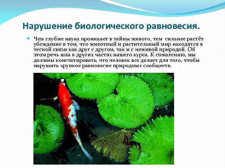 Нарушение биологического равновесия. Чем глубже наука проникает в тайны живого, тем сильнее растёт убеждение