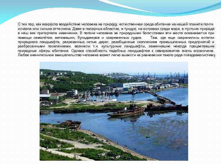 С тех пор, как возросло воздействие человека на природу, естественная среда обитания на нашей