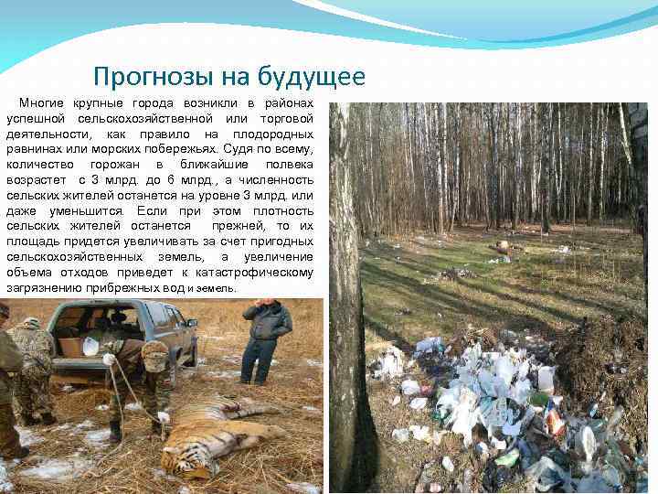 Прогнозы на будущее Многие крупные города возникли в районах успешной сельскохозяйственной или торговой деятельности,