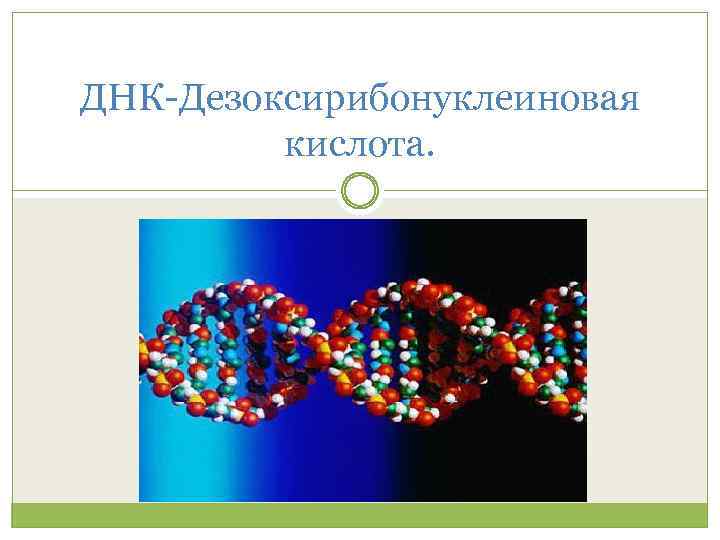 Открытие днк презентация