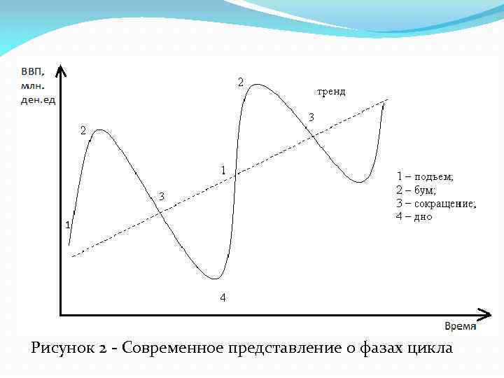 Рисунок 2 - Современное представление о фазах цикла 
