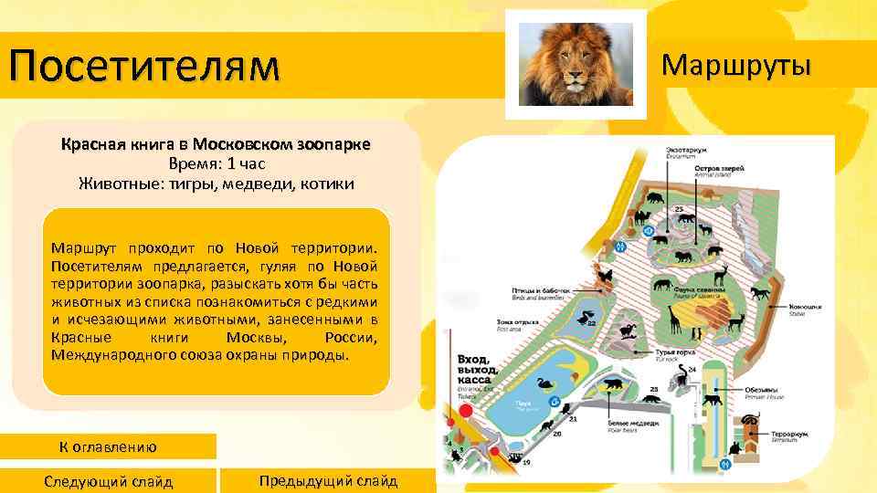 Карта московского зоопарка 2024. Московский зоопарк сообщение. Доклад о зоопарке.