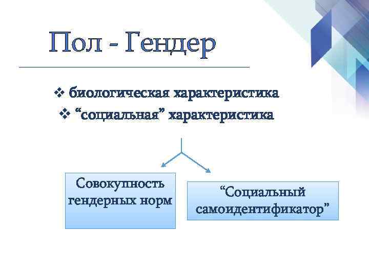 Пол - Гендер v биологическая характеристика v “социальная” характеристика Совокупность гендерных норм “Социальный самоидентификатор”