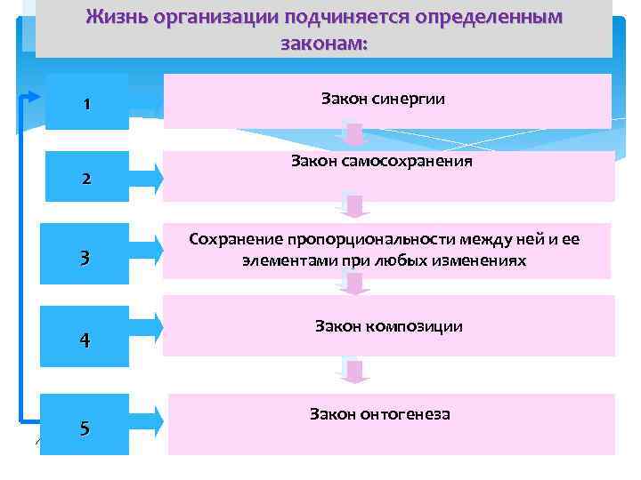 Жизнь организации подчиняется определенным законам: 1 2 3 4 5 Закон синергии Закон самосохранения