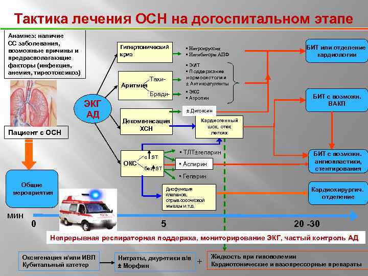 Тактика лечения ОСН на догоспитальном этапе Анамнез: наличие СС заболевания, возможные причины и предрасполагающие