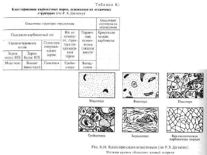 Карбонатные осадочные породы группы организмов. Классификация карбонатных пород Данхема. Классификация карбонатных пород по составу. Классификация известняков по данхему. Классификация карбонатных горных пород.