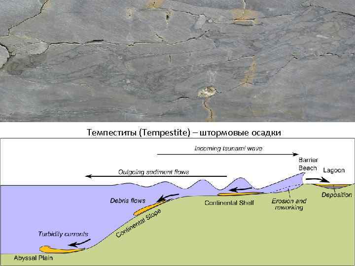 Темпеститы (Tempestite) – штормовые осадки 