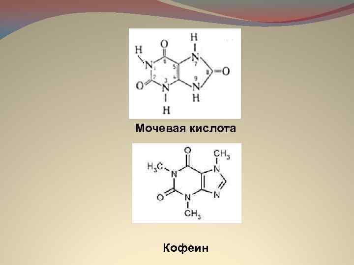 Мочевая кислота Кофеин 