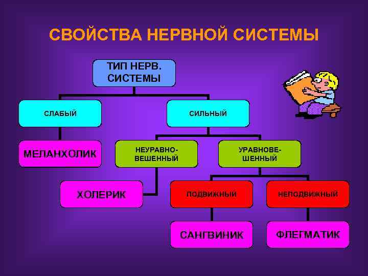 СВОЙСТВА НЕРВНОЙ СИСТЕМЫ ТИП НЕРВ. СИСТЕМЫ СЛАБЫЙ СИЛЬНЫЙ МЕЛАНХОЛИК ХОЛЕРИК НЕУРАВНОВЕШЕННЫЙ ПОДВИЖНЫЙ НЕПОДВИЖНЫЙ САНГВИНИК