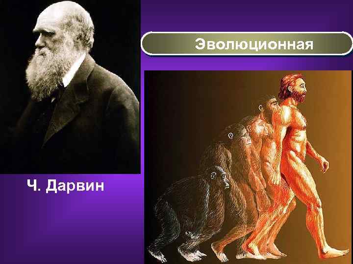 Эволюционная Ч. Дарвин 