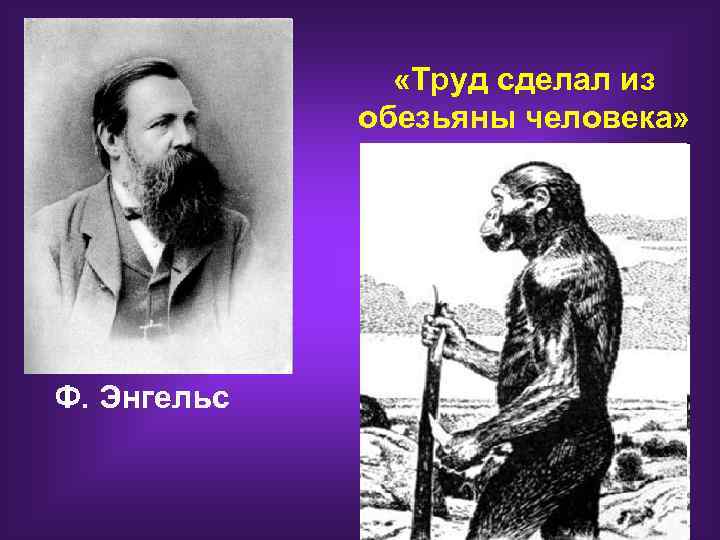  «Труд сделал из обезьяны человека» Ф. Энгельс 