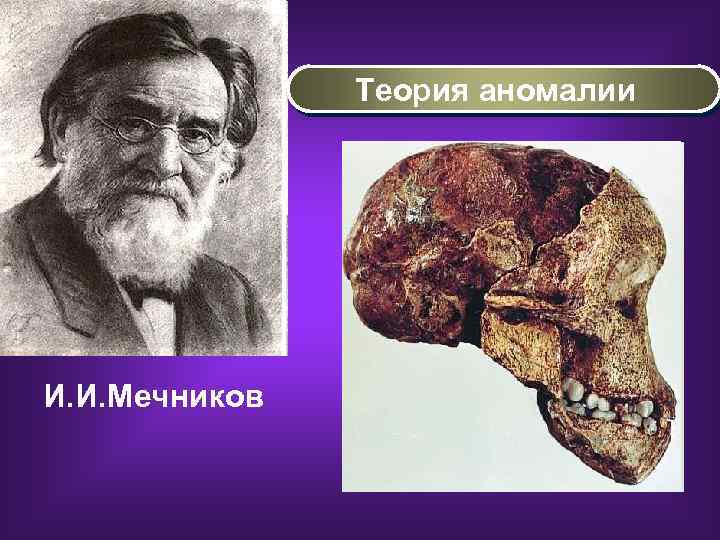 Теория аномалии И. И. Мечников 