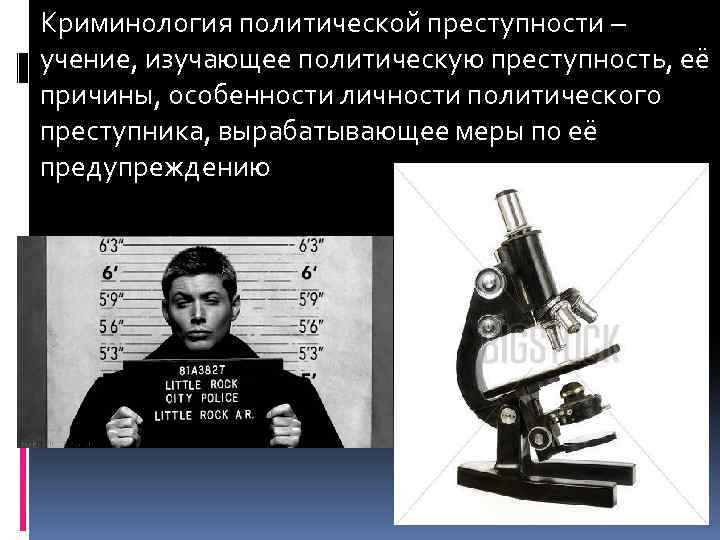 Учения о преступности. Криминологические теории причин преступности. Политические причины преступности. Криминологические признаки политической преступности. Политические причины преступности в криминологии.