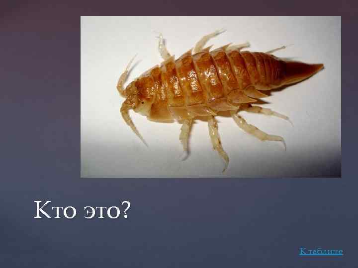 Кто это? К таблице 