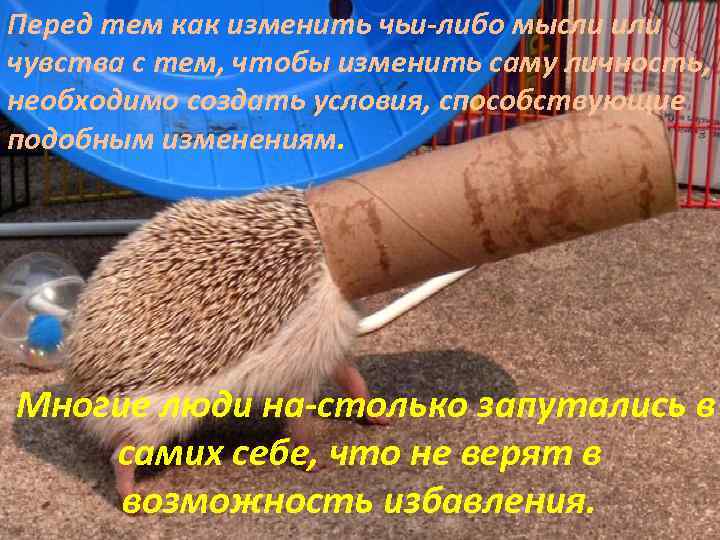 Перед тем как изменить чьи либо мысли или чувства с тем, чтобы изменить саму