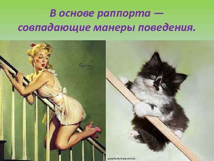 В основе раппорта — совпадающие манеры поведения. 