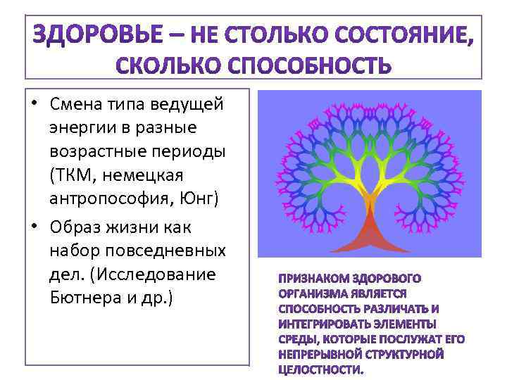  • Смена типа ведущей энергии в разные возрастные периоды (ТКМ, немецкая антропософия, Юнг)