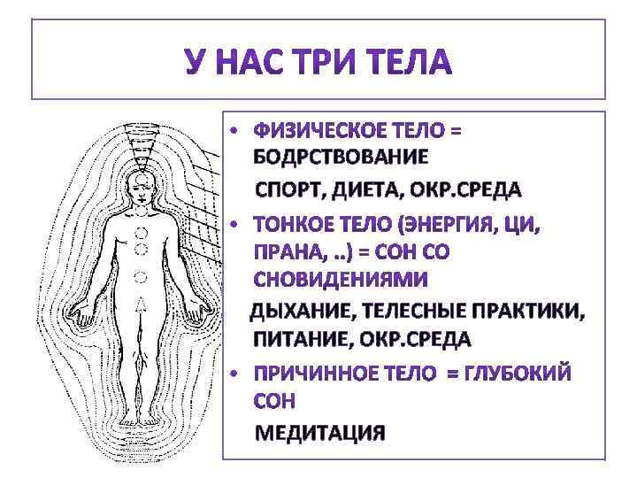 БОДРСТВОВАНИЕ СПОРТ, ДИЕТА, ОКР. СРЕДА ДЫХАНИЕ, ТЕЛЕСНЫЕ ПРАКТИКИ, ПИТАНИЕ, ОКР. СРЕДА МЕДИТАЦИЯ 
