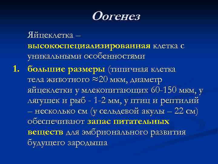 Оогенез Яйцеклетка – высокоспециализированная клетка с уникальными особенностями 1. большие размеры (типичная клетка тела