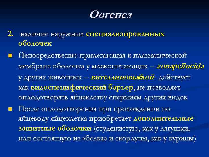 Оогенез 2. наличие наружных специализированных оболочек n Непосредственно прилегающая к плазматической мембране оболочка у