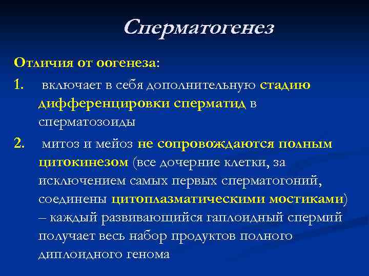 Сперматогенез Отличия от оогенеза: 1. включает в себя дополнительную стадию дифференцировки сперматид в сперматозоиды