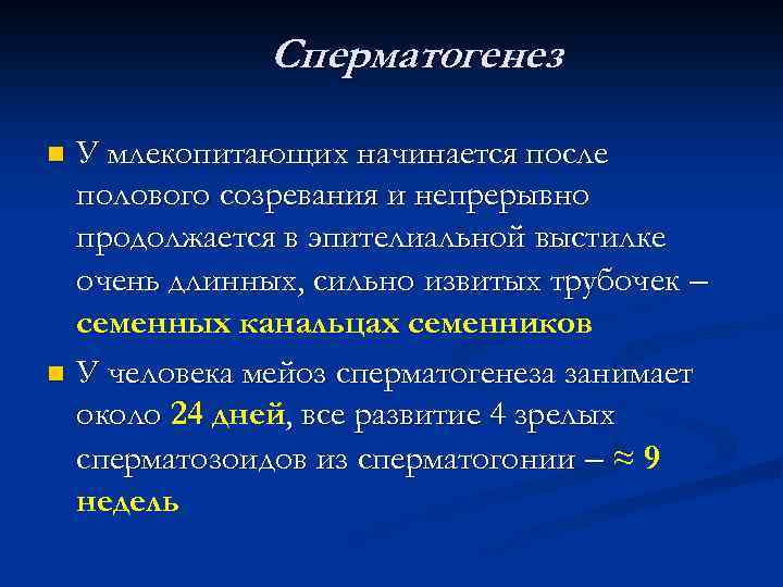 Сперматогенез У млекопитающих начинается после полового созревания и непрерывно продолжается в эпителиальной выстилке очень