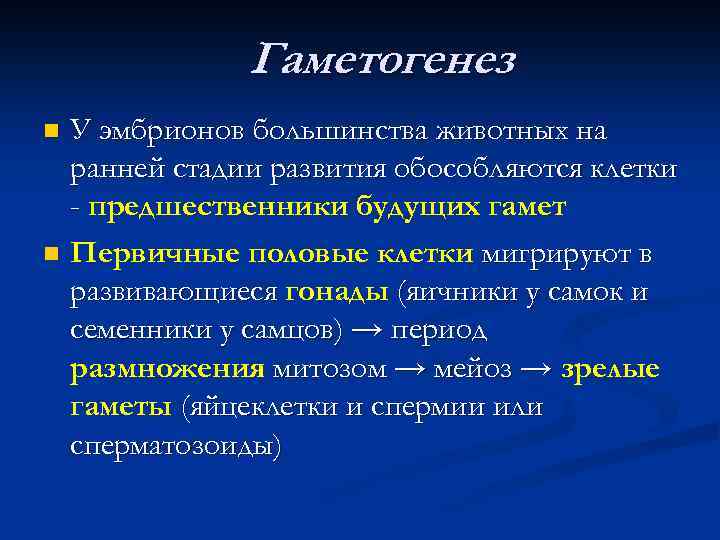 Гаметогенез n n У эмбрионов большинства животных на ранней стадии развития обособляются клетки -