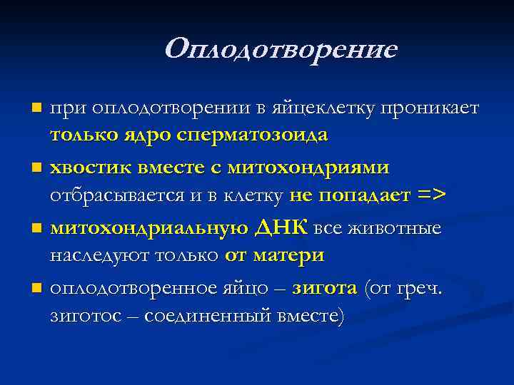 Оплодотворение при оплодотворении в яйцеклетку проникает только ядро сперматозоида n хвостик вместе с митохондриями