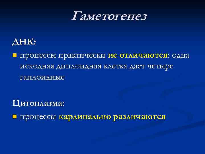 Гаметогенез ДНК: n процессы практически не отличаются: одна исходная диплоидная клетка дает четыре гаплоидные