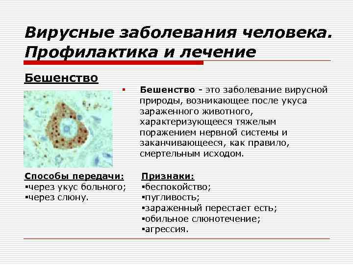 Вирусные заболевания человека. Профилактика и лечение Бешенство § Способы передачи: §через укус больного; §через