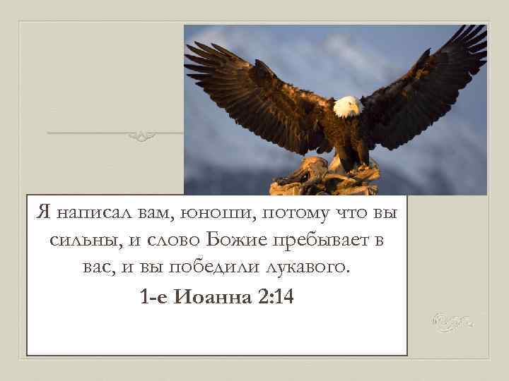 Я написал вам, юноши, потому что вы сильны, и слово Божие пребывает в вас,