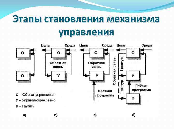Этапы становления механизма управления 