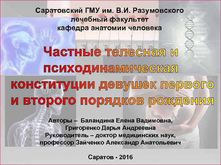 Саратовский ГМУ им. В. И. Разумовского лечебный факультет кафедра анатомии человека Авторы – Баландина