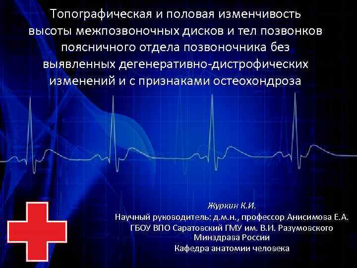 Топографическая и половая изменчивость высоты межпозвоночных дисков и тел позвонков поясничного отдела позвоночника без