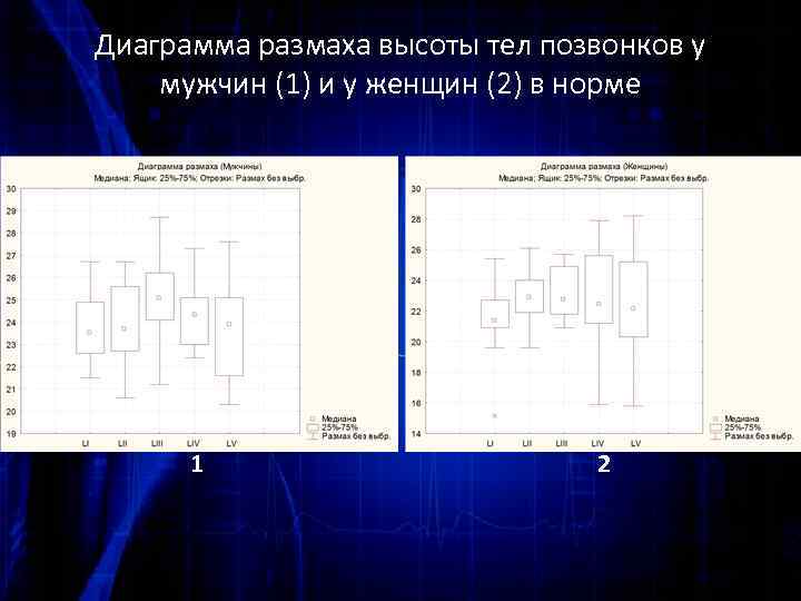Диаграмма размаха высоты тел позвонков у мужчин (1) и у женщин (2) в норме