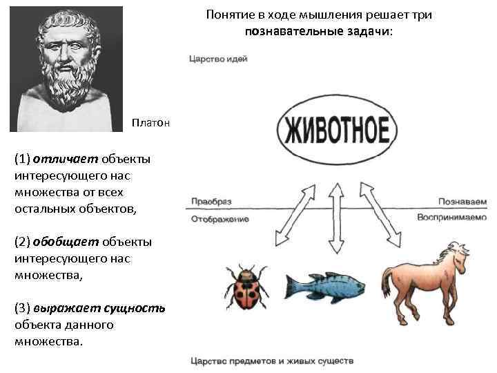 Понятие хода. Платон царство идей. Ход мышления.