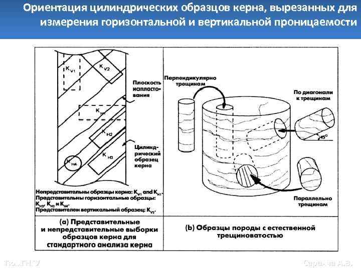 Ориентация цилиндрических образцов керна, вырезанных для измерения горизонтальной и вертикальной проницаемости Тюм. ГНГУ Саранча