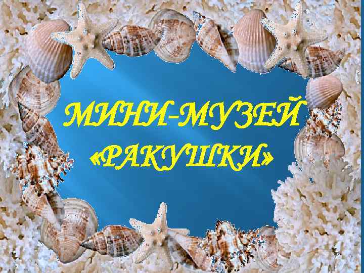 МИНИ-МУЗЕЙ «РАКУШКИ» 
