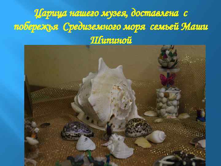 Царица нашего музея, доставлена с побережья Средиземного моря семьей Маши Шипиной 