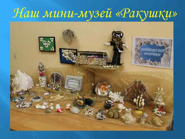 Наш мини-музей «Ракушки» 
