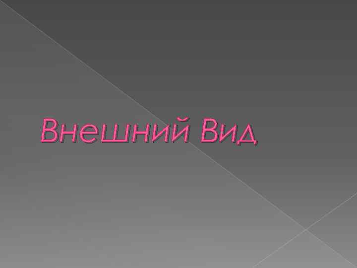 Внешний Вид 