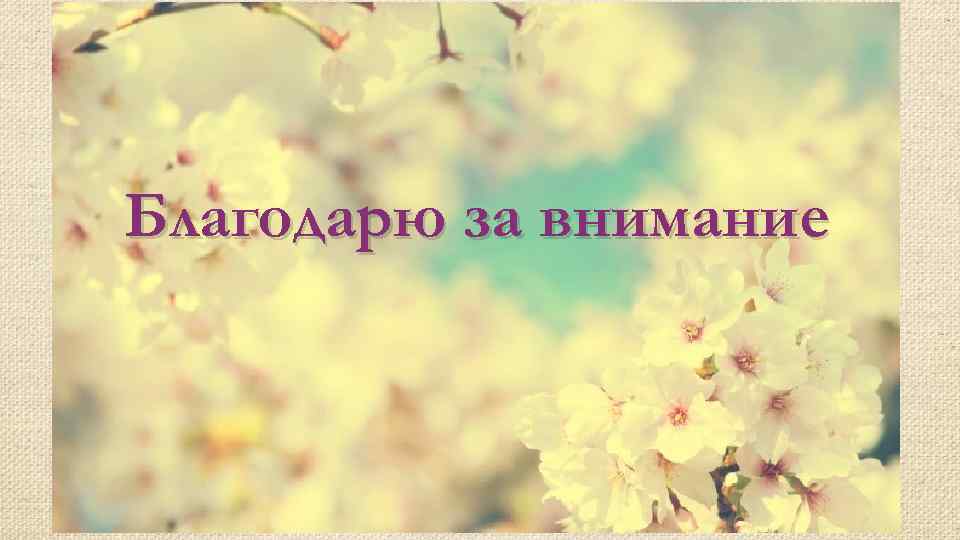 Благодарю за внимание 