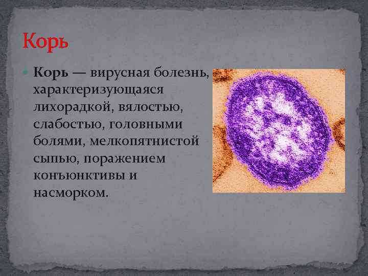 Корь — вирусная болезнь, характеризующаяся лихорадкой, вялостью, слабостью, головными болями, мелкопятнистой сыпью, поражением конъюнктивы
