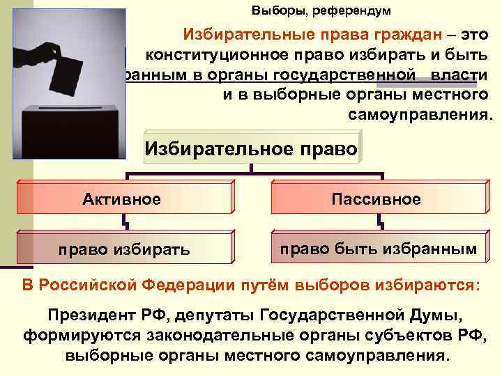 Выборы и референдум презентация